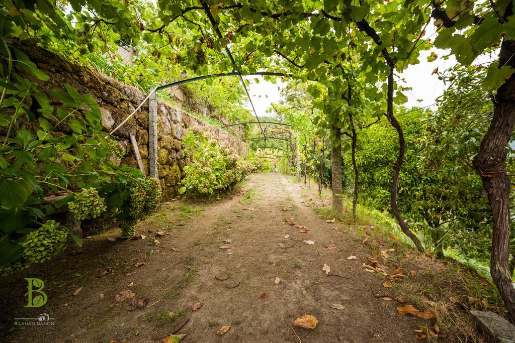 Quinta Da Bouca - Agroturismo Pacos de Gaiolo Habitación foto