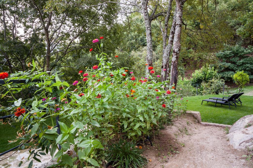 Quinta Da Bouca - Agroturismo Pacos de Gaiolo Habitación foto
